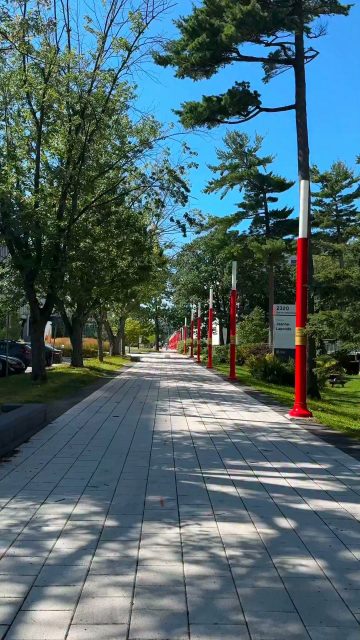 Throwback sur ma semaine de rentrée à l’Faculté des sciences de l'éducation - Université Laval !